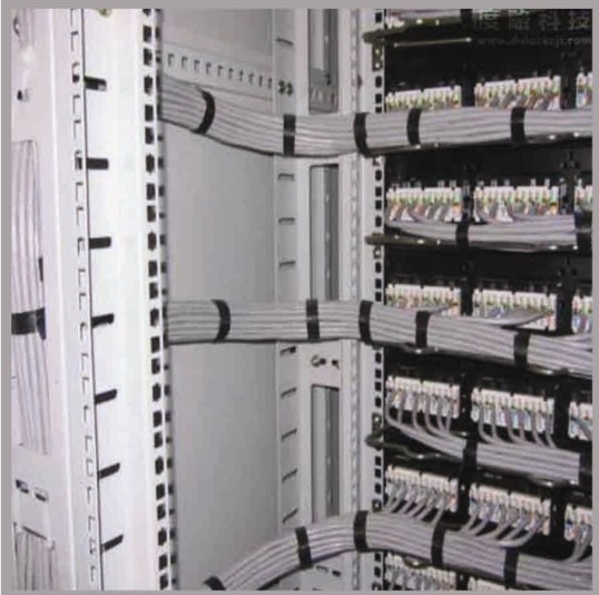 首页|尊龙集团中国官方网站