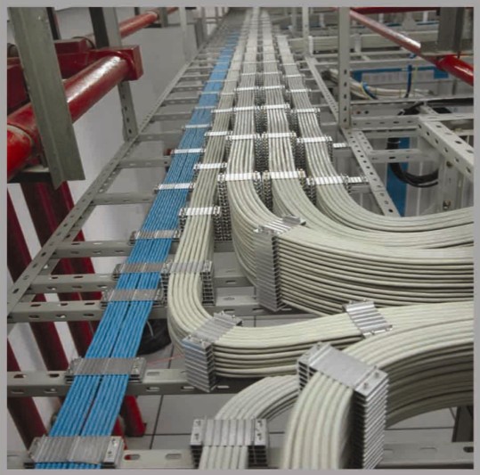 首页|尊龙集团中国官方网站